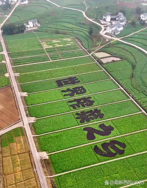 93萬元!這串?dāng)?shù)字一出來,我估計(jì)不少人得瞪大眼睛